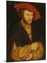 Portrait of a Young Man-Lucas Cranach the Elder-Mounted Giclee Print