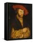 Portrait of a Young Man-Lucas Cranach the Elder-Framed Stretched Canvas