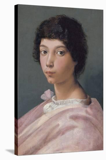 Portrait of a Young Man-Raphael-Stretched Canvas