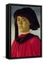 Portrait of a Young Man-Sandro Botticelli-Framed Stretched Canvas