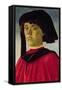 Portrait of a Young Man-Sandro Botticelli-Framed Stretched Canvas