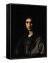 Portrait of a Young Man-Andrea del Sarto-Framed Stretched Canvas