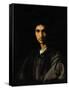 Portrait of a Young Man-Andrea del Sarto-Framed Stretched Canvas