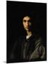 Portrait of a Young Man-Andrea del Sarto-Mounted Giclee Print