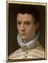 Portrait of a Young Man-Agnolo Bronzino-Mounted Giclee Print