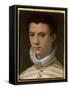 Portrait of a Young Man-Agnolo Bronzino-Framed Stretched Canvas