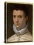 Portrait of a Young Man-Agnolo Bronzino-Stretched Canvas