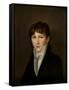 Portrait of a Young Man-Louis Leopold Boilly-Framed Stretched Canvas