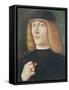 Portrait of a Young Man-Gentile Bellini-Framed Stretched Canvas