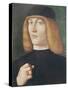 Portrait of a Young Man-Gentile Bellini-Stretched Canvas