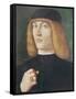 Portrait of a Young Man-Gentile Bellini-Framed Stretched Canvas