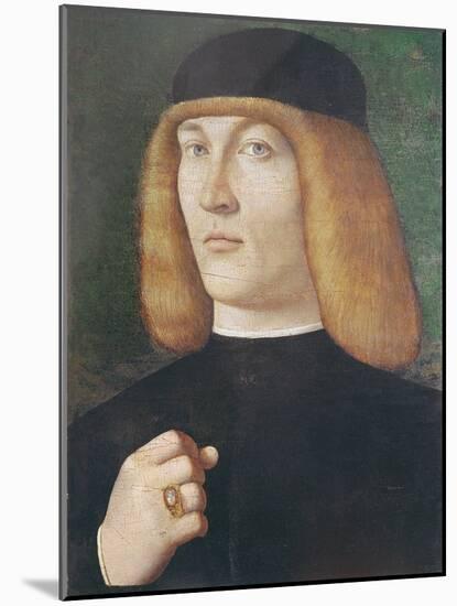 Portrait of a Young Man-Gentile Bellini-Mounted Giclee Print