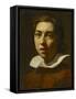 Portrait of a Young Man-Karel Dujardin-Framed Stretched Canvas