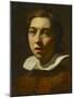 Portrait of a Young Man-Karel Dujardin-Mounted Giclee Print