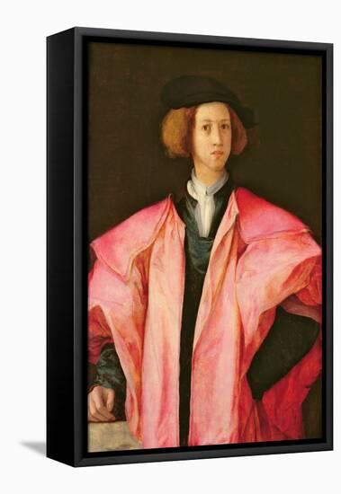 Portrait of a Young Man-Jacopo Pontormo-Framed Stretched Canvas
