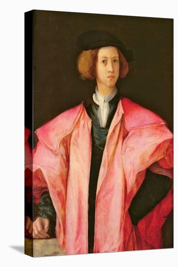 Portrait of a Young Man-Jacopo Pontormo-Stretched Canvas