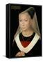 Portrait of a Young Woman, 1480-Hans Memling-Framed Stretched Canvas