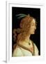 Portrait of a Young Woman, 1485-Sandro Botticelli-Framed Giclee Print