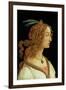 Portrait of a Young Woman, 1485-Sandro Botticelli-Framed Giclee Print