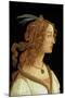 Portrait of a Young Woman, 1485-Sandro Botticelli-Mounted Giclee Print