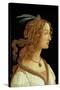 Portrait of a Young Woman, 1485-Sandro Botticelli-Stretched Canvas