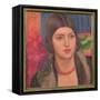 Portrait of a Young Woman, 1928-Mark Gertler-Framed Stretched Canvas