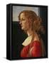 Portrait of a Young Woman in Profile (Simonetta Vespucci?)-Sandro Botticelli-Framed Stretched Canvas