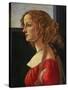 Portrait of a Young Woman in Profile (Simonetta Vespucci?)-Sandro Botticelli-Stretched Canvas