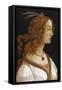 Portrait of a Young Woman-Sandro Botticelli-Framed Stretched Canvas