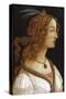 Portrait of a Young Woman-Sandro Botticelli-Stretched Canvas