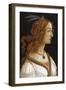 Portrait of a Young Woman-Sandro Botticelli-Framed Giclee Print