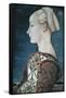 Portrait of a Young Woman-Antonio Pollaiolo-Framed Stretched Canvas