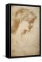 Portrait of a Young Woman-Edward Burne-Jones-Framed Stretched Canvas