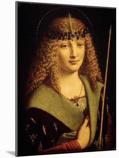 Portrait of a Youth as Saint Sebastian, C1500-Giovanni Antonio Boltraffio-Mounted Giclee Print