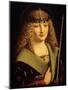 Portrait of a Youth as Saint Sebastian, C1500-Giovanni Antonio Boltraffio-Mounted Giclee Print