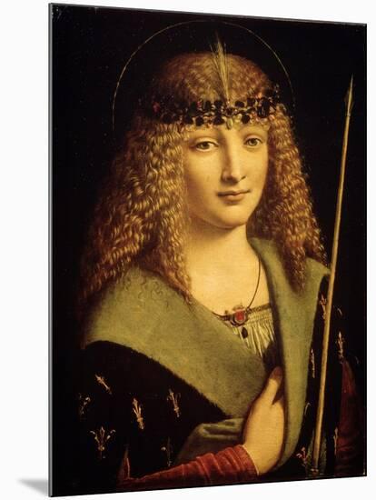 Portrait of a Youth as Saint Sebastian, C1500-Giovanni Antonio Boltraffio-Mounted Giclee Print