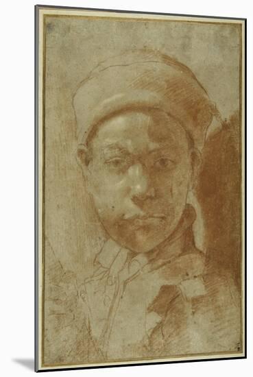 Portrait of a Youth, Bust-Length, Wearing a Round Cap-Annibale Carracci-Mounted Giclee Print