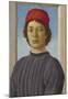 Portrait of a Youth, c. 1485-Filippino Lippi-Mounted Premium Giclee Print