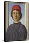 Portrait of a Youth, C.1485-Filippino Lippi-Framed Stretched Canvas