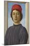 Portrait of a Youth, C.1485-Filippino Lippi-Mounted Premium Giclee Print