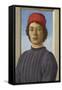 Portrait of a Youth, C.1485-Filippino Lippi-Framed Stretched Canvas