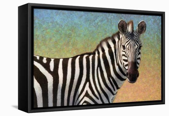 Portrait Of A Zebra-James W Johnson-Framed Stretched Canvas