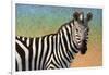 Portrait Of A Zebra-James W Johnson-Framed Giclee Print