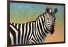 Portrait Of A Zebra-James W Johnson-Framed Giclee Print