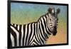 Portrait Of A Zebra-James W Johnson-Framed Giclee Print