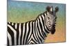 Portrait Of A Zebra-James W Johnson-Mounted Giclee Print