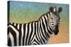 Portrait Of A Zebra-James W Johnson-Stretched Canvas
