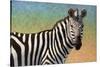 Portrait Of A Zebra-James W Johnson-Stretched Canvas