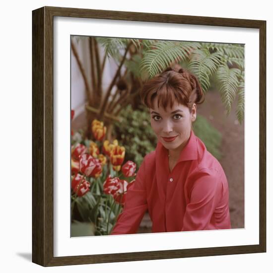 Portrait of Actress Elsa Martinelli-Ralph Crane-Framed Photographic Print