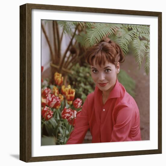 Portrait of Actress Elsa Martinelli-Ralph Crane-Framed Photographic Print